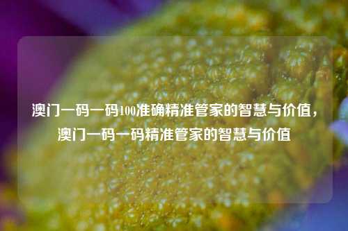 澳门一码一码100准确精准管家的智慧与价值，澳门一码一码精准管家的智慧与价值